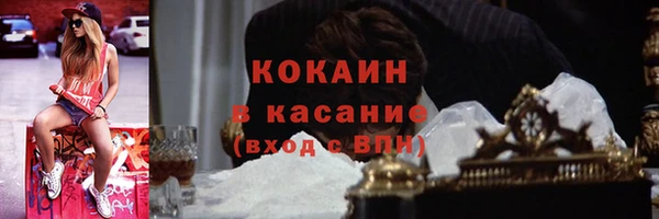 ПСИЛОЦИБИНОВЫЕ ГРИБЫ Магас