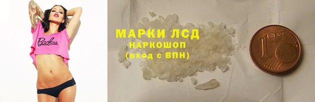 ПСИЛОЦИБИНОВЫЕ ГРИБЫ Магас