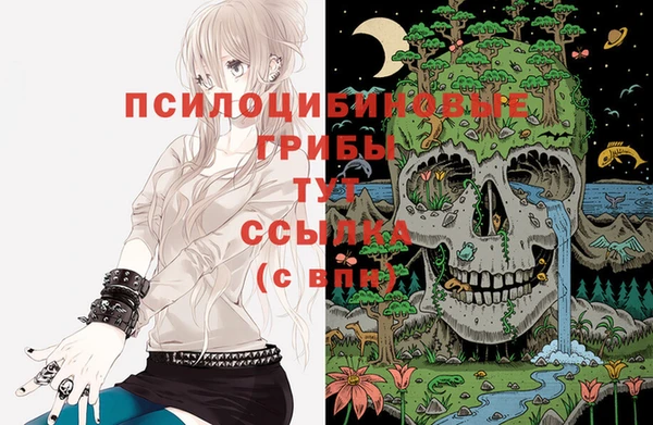 гидра Лихославль