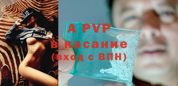 ПСИЛОЦИБИНОВЫЕ ГРИБЫ Магас